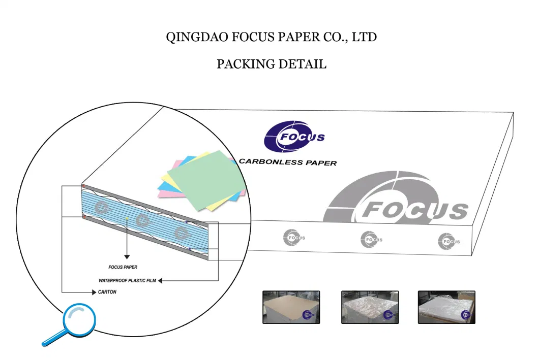 Вьюрки бумаги NCR голубой ранга изображения изображения черной верхней Carbonless бумажные слон 3