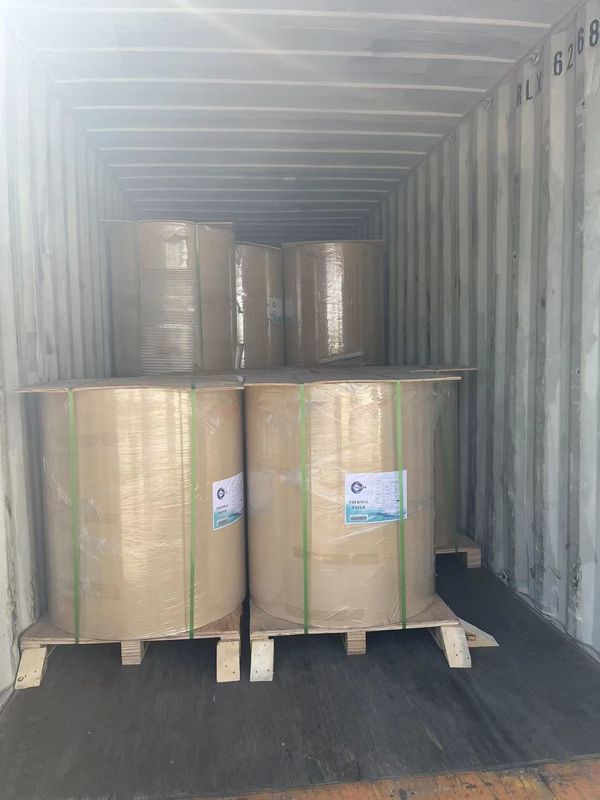 55GSM Thermal Paper Jumbo Roll with Excellent Coating and Smooth Surface for Printing