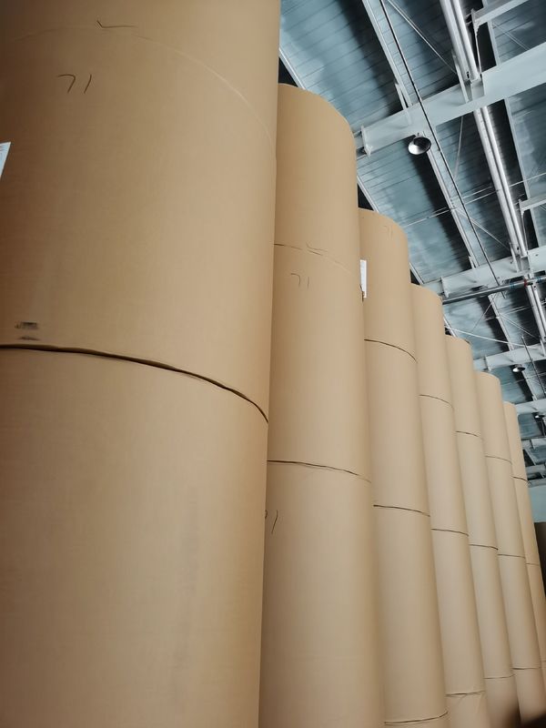 FOCUS Pos Thermal Paper Roll Image Blue Black 100% Imported Wood Pulp 640mm*6000m /800mm*1500m