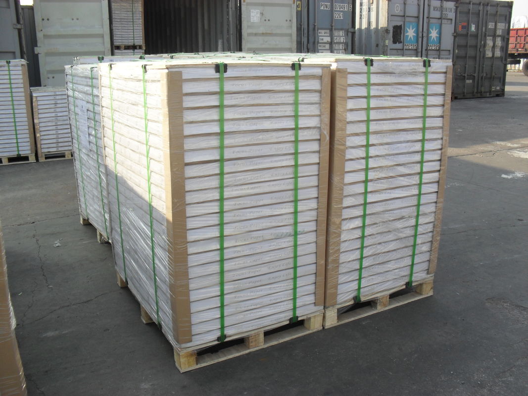 70gsm 180gsm Offset Printing Paper White Woodfree Paper Roll