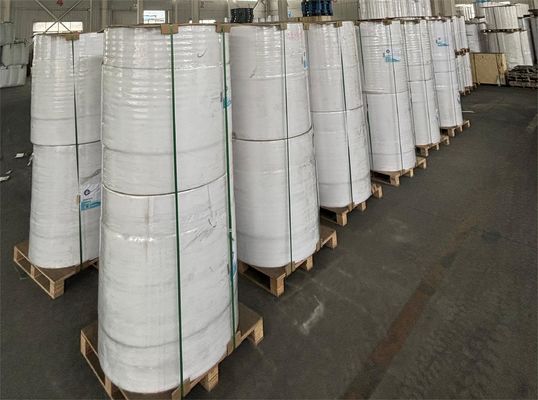 POS Printer ATM Printer Jumbo Thermal Paper Roll with Good Whitness and Bpa Free Yes