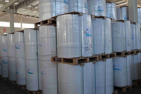 100% импортируемая необработанная древесная целлюлоза без BPA Термальная бумага Высокая гладкость Сильное напряжение Долгий срок службы изображений